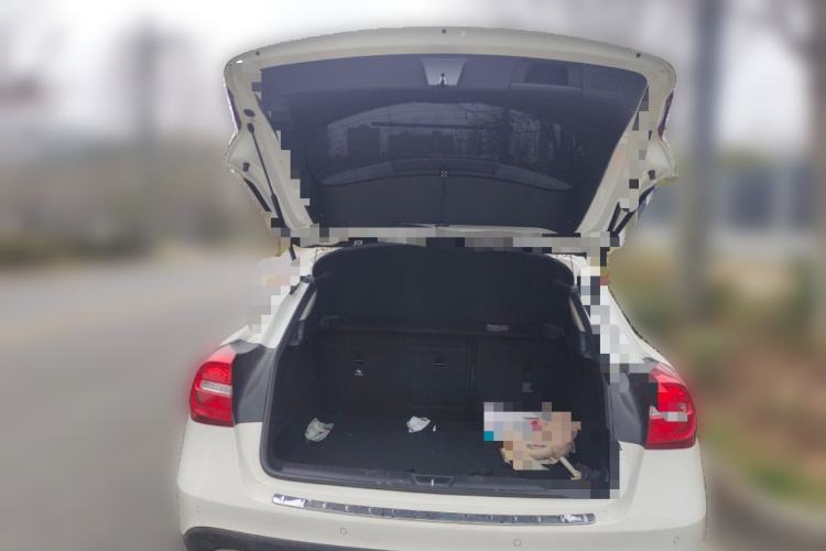 Used Mercedes-Benz GLA 2016 GLA 200 Fashion Model Trunk