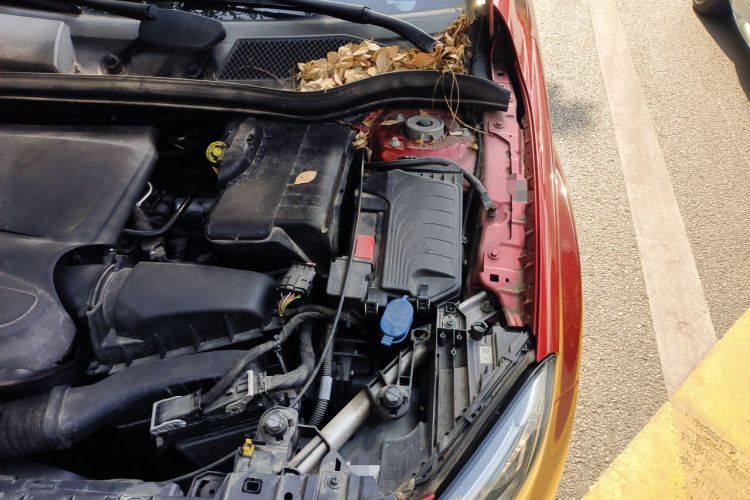 Used Mercedes-Benz GLA 2017 GLA 200 Fashion Model Engine Bay Left
