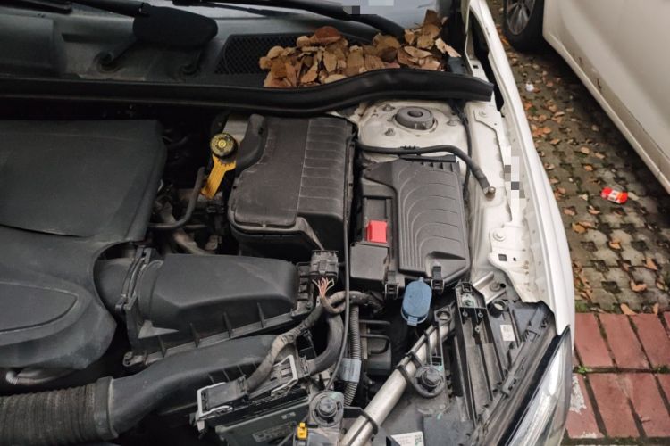 Used Mercedes-Benz GLA 2018 GLA 220 4MATIC Sport Edition Engine Bay Left