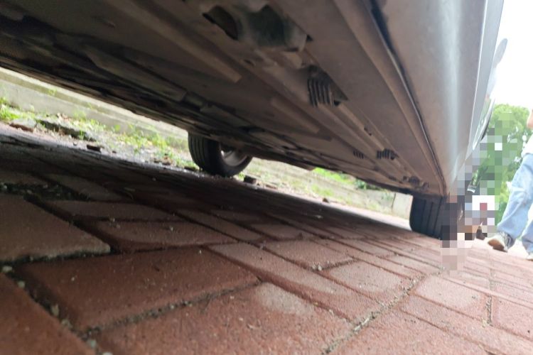 Used Mercedes-Benz GLB 2023 GLB 220 Sport Edition Chassis Front Left