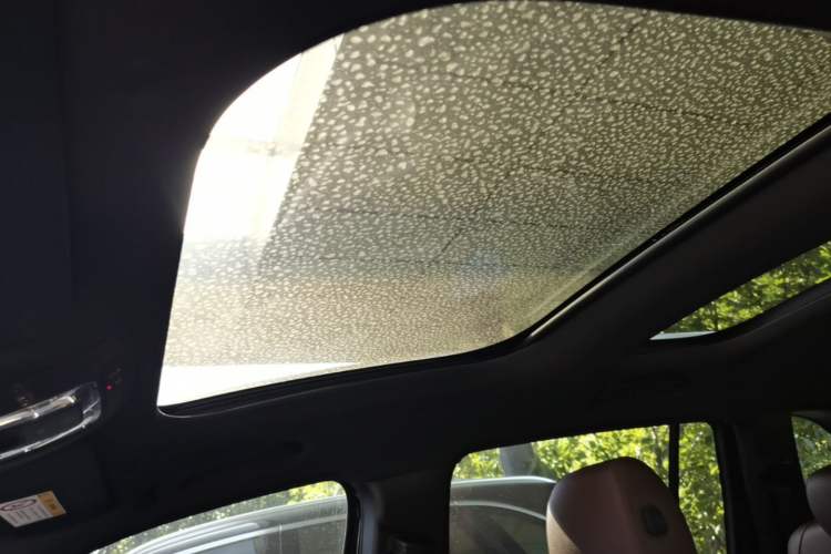 Used Mercedes-Benz GLB 2023 GLB 220 Sport Edition Headliner
