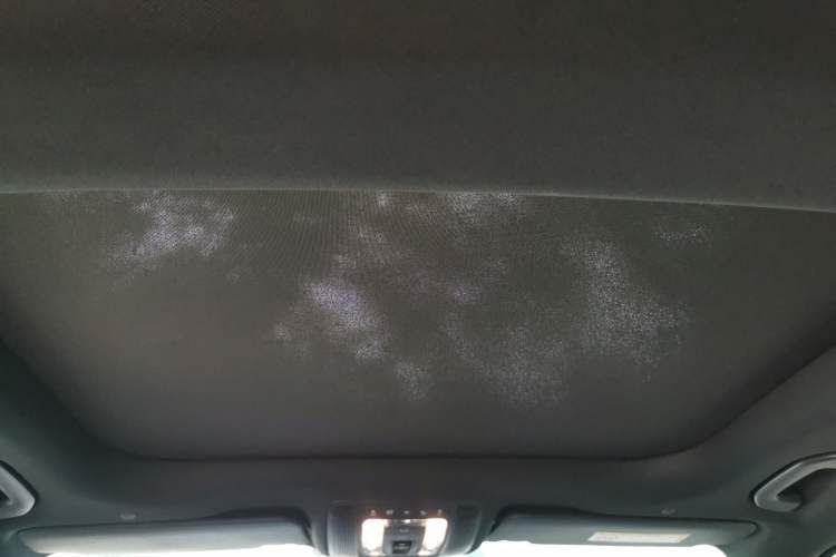 Used Mercedes-Benz GLB 2023 GLB 220 Sport Edition Headliner