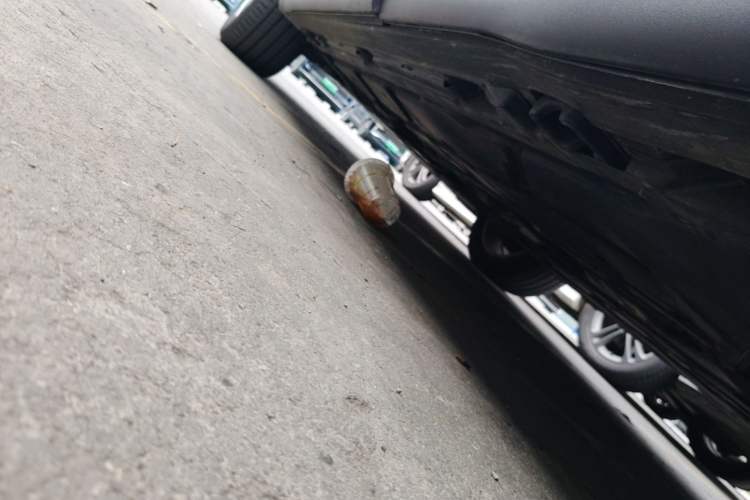 Used Mercedes-Benz GLB 2023 GLB 220 Sport Edition Left Side Sill