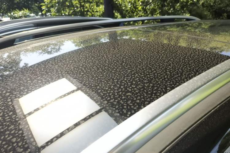 Used Mercedes-Benz GLB 2023 GLB 220 Sport Edition Roof