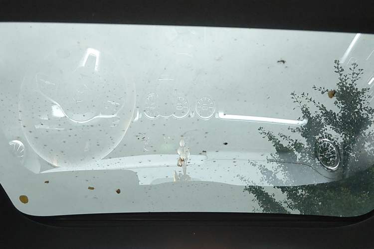 Used Mercedes-Benz GLB 2023 GLB 220 Fashion Model Headliner