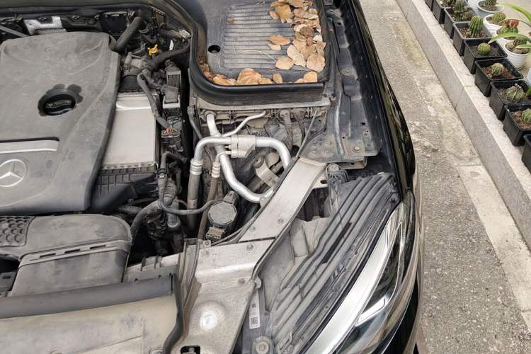 Used Mercedes-Benz GLC 2016 GLC 260 4MATIC Luxury Model Engine Bay Left