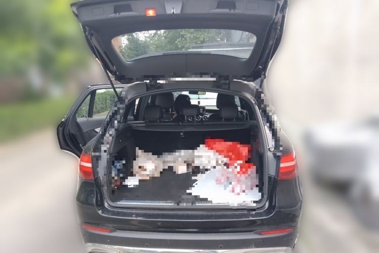 Used Mercedes-Benz GLC 2016 GLC 200 4MATIC Trunk