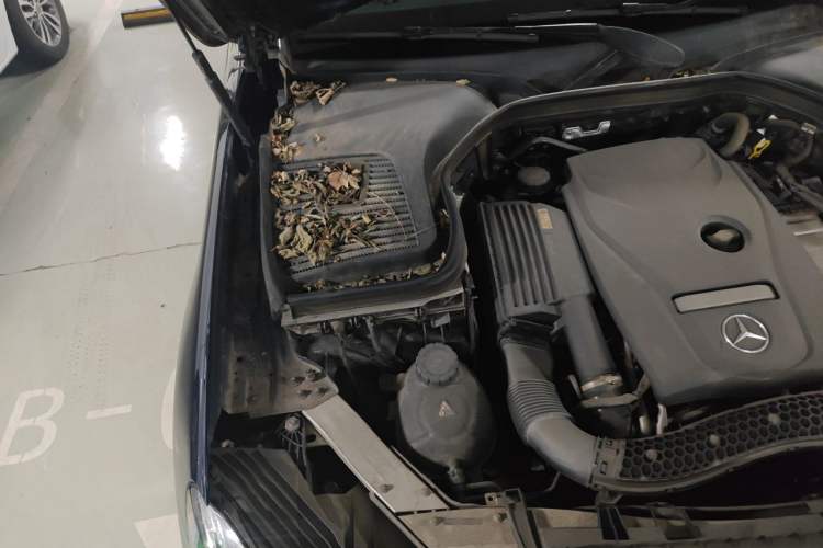 Used Mercedes-Benz GLC 2016 GLC 260 4MATIC Luxury Model Engine Bay Right
