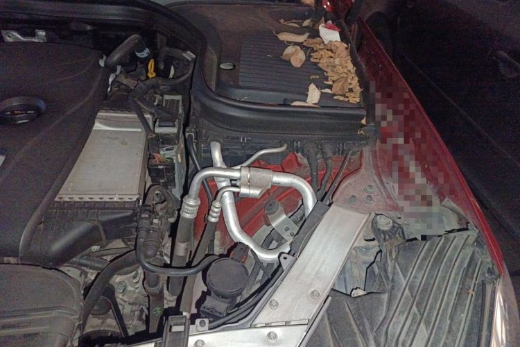 Used Mercedes-Benz GLC 2016 GLC 260 4MATIC Dynamic Edition Engine Bay Left