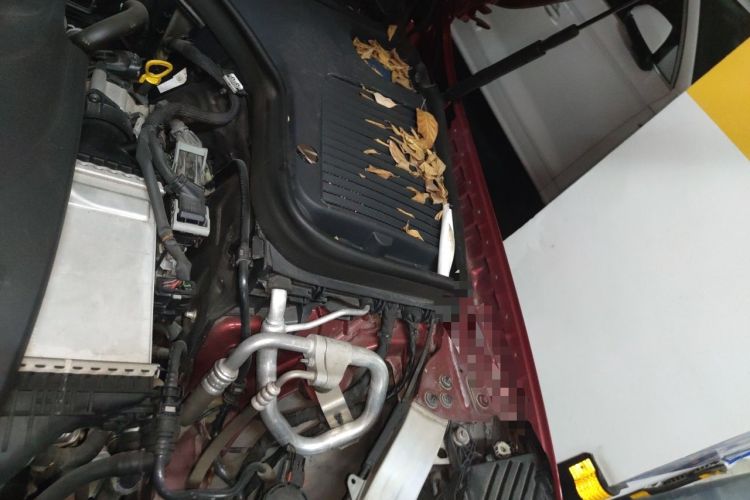 Used Mercedes-Benz GLC 2016 GLC 300 4MATIC Dynamic Model Engine Bay Left