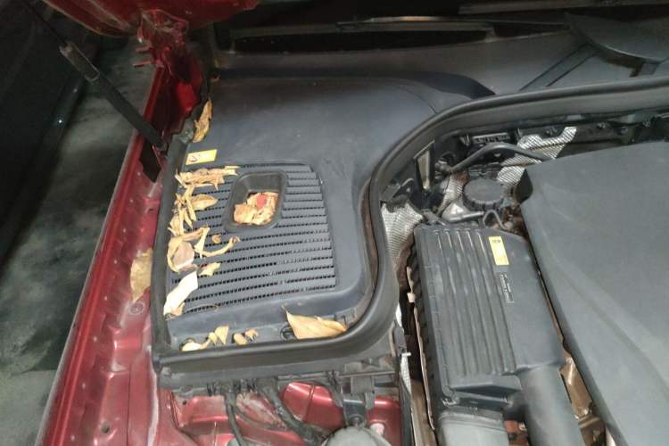 Used Mercedes-Benz GLC 2016 GLC 300 4MATIC Dynamic Model Engine Bay Right