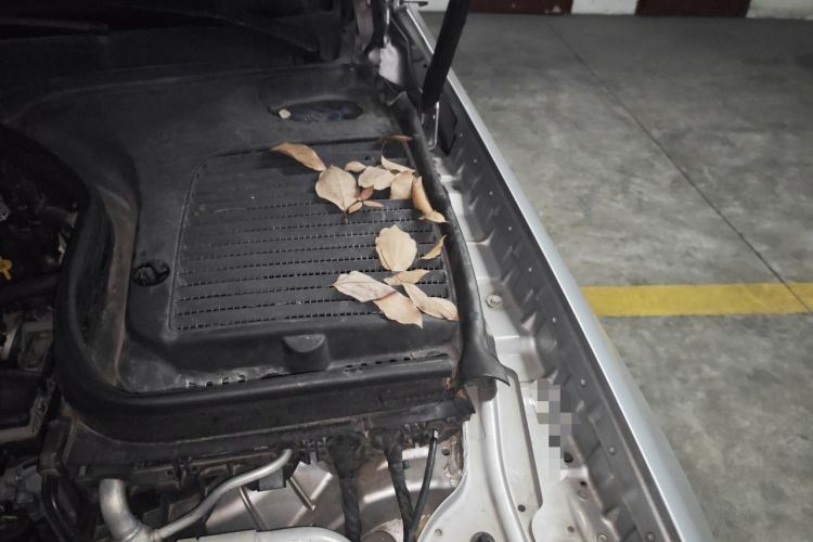 Used Mercedes-Benz GLC 2016 GLC 260 4MATIC Luxury Model Engine Bay Left