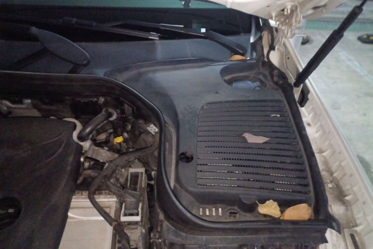 Used Mercedes-Benz GLC 2016 GLC 300 4MATIC Dynamic Model Engine Bay Left