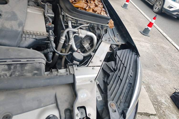 Used Mercedes-Benz GLC 2017 GLC 260 4MATIC Dynamic Edition Engine Bay Left