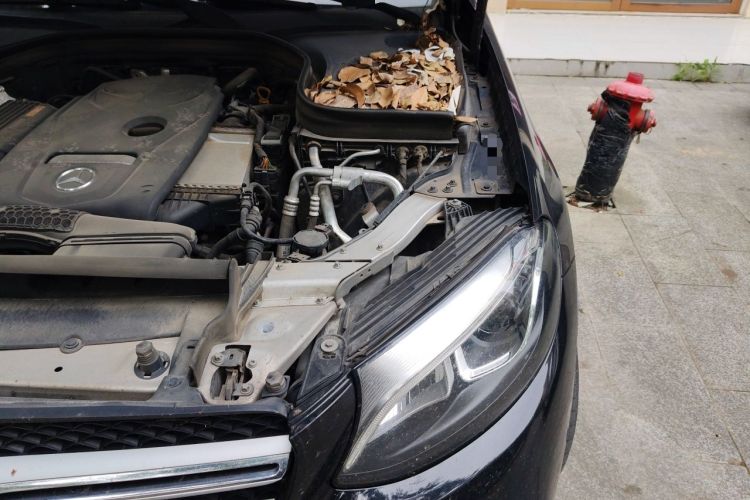 Used Mercedes-Benz GLC 2017 GLC 260 4MATIC Dynamic Edition Engine Bay Left