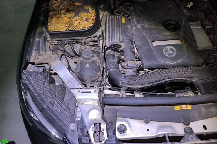 Used Mercedes-Benz GLC 2017 GLC 260 4MATIC Luxury Model Engine Bay Right