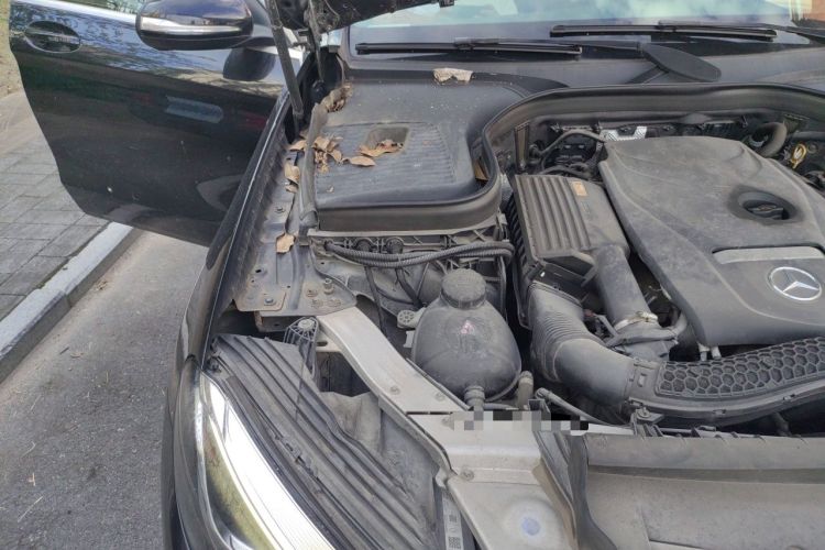 Used Mercedes-Benz GLC 2017 GLC 260 4MATIC Dynamic Edition Engine Bay Right