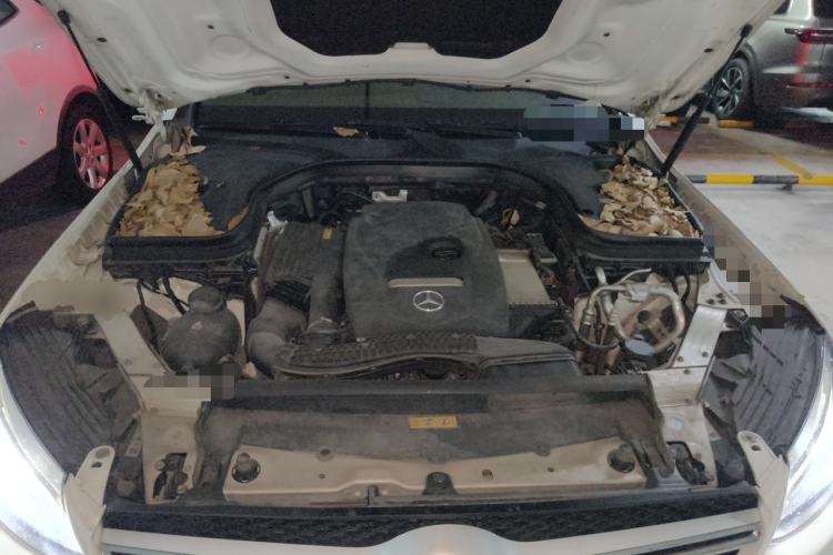 Used Mercedes-Benz GLC 2017 GLC 260 4MATIC Luxury Model Engine Bay