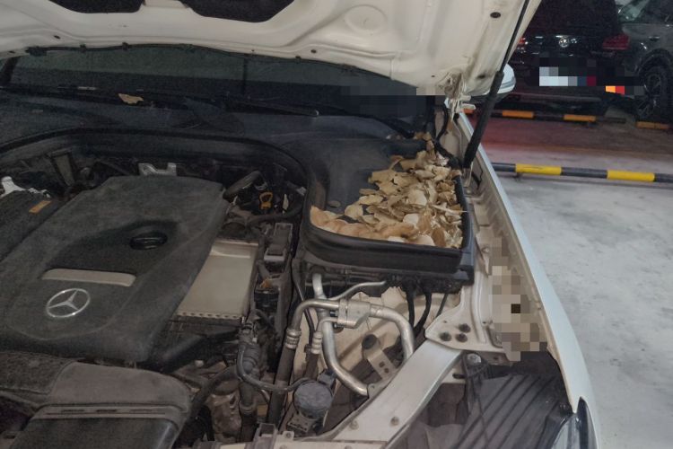 Used Mercedes-Benz GLC 2017 GLC 260 4MATIC Luxury Model Engine Bay Left