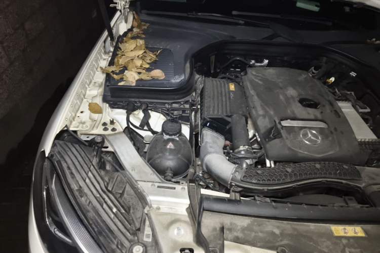 Used Mercedes-Benz GLC 2017 GLC 200 4MATIC Engine Bay Right