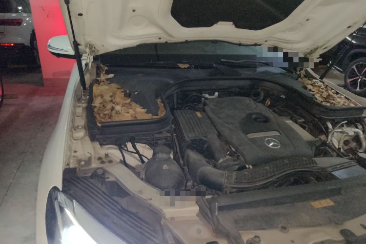 Used Mercedes-Benz GLC 2017 GLC 260 4MATIC Luxury Model Engine Bay Right