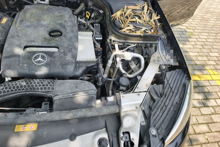 Used Mercedes-Benz GLC 2018 GLC 260 4MATIC Dynamic Edition Engine Bay Left