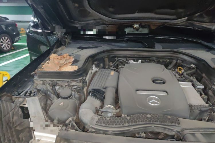 Used Mercedes-Benz GLC 2018 Facelift GLC 260 4MATIC Luxury Edition Engine Bay Right
