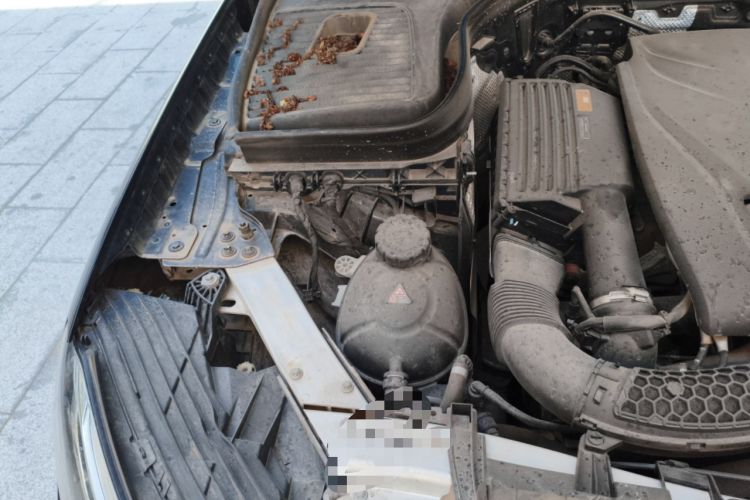 Used Mercedes-Benz GLC 2018 GLC 200 4MATIC Engine Bay Right