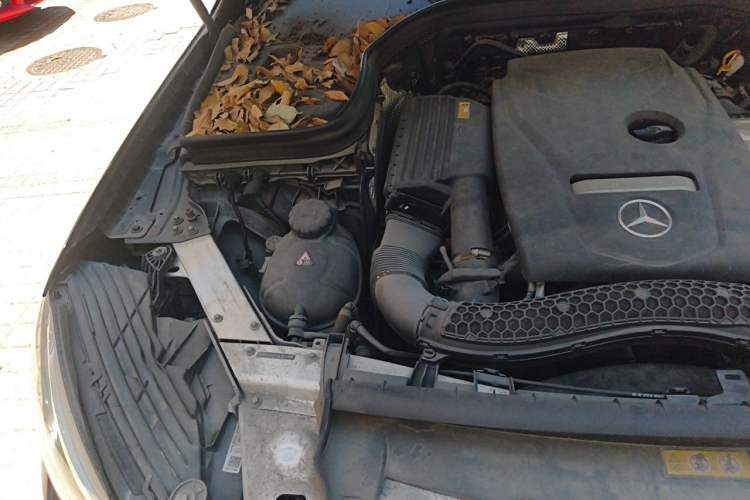 Used Mercedes-Benz GLC 2018 Facelift GLC 200 4MATIC Engine Bay Right
