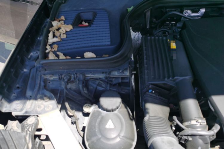 Used Mercedes-Benz GLC 2018 GLC 260 4MATIC Dynamic Edition Engine Bay Right