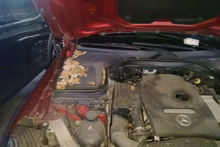 Used Mercedes-Benz GLC 2018 GLC 200 4MATIC Engine Bay Right