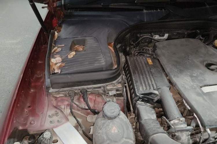 Used Mercedes-Benz GLC 2018 Facelift GLC 200 4MATIC Engine Bay Right