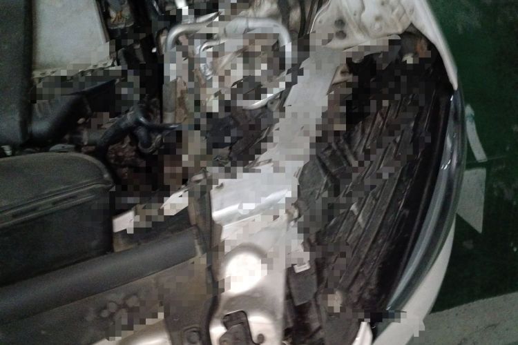 Used Mercedes-Benz GLC 2018 Facelift GLC 200 4MATIC Engine Bay Left