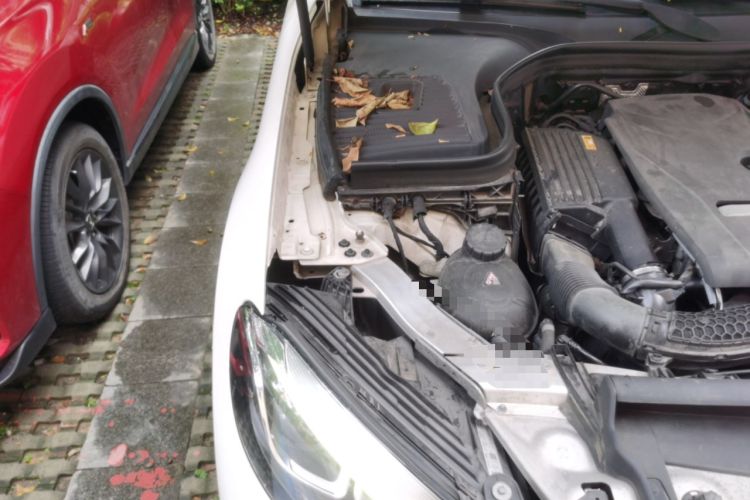 Used Mercedes-Benz GLC 2018 GLC 200 4MATIC Engine Bay Right