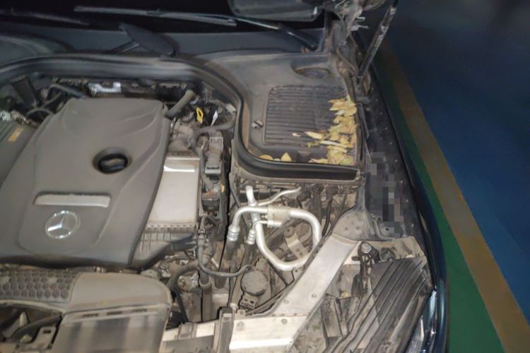 Used Mercedes-Benz GLC 2019 GLC 260 L 4MATIC Dynamic Model Engine Bay Left