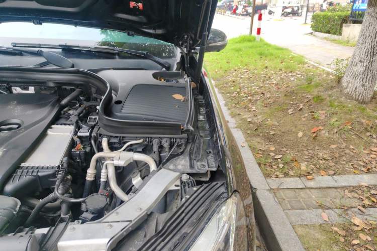 Used Mercedes-Benz GLC 2019 Facelift GLC 260 L 4MATIC Luxury Model Engine Bay Left