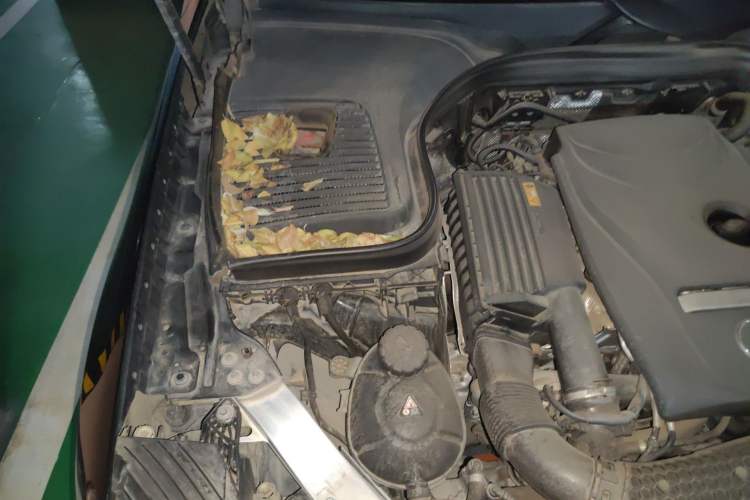 Used Mercedes-Benz GLC 2019 GLC 260 L 4MATIC Dynamic Model Engine Bay Right