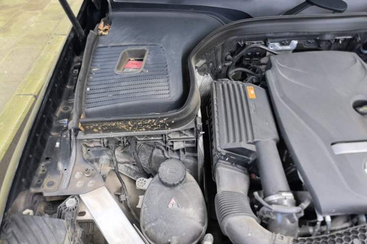 Used Mercedes-Benz GLC 2019 Facelift GLC 260 L 4MATIC Luxury Model Engine Bay Right