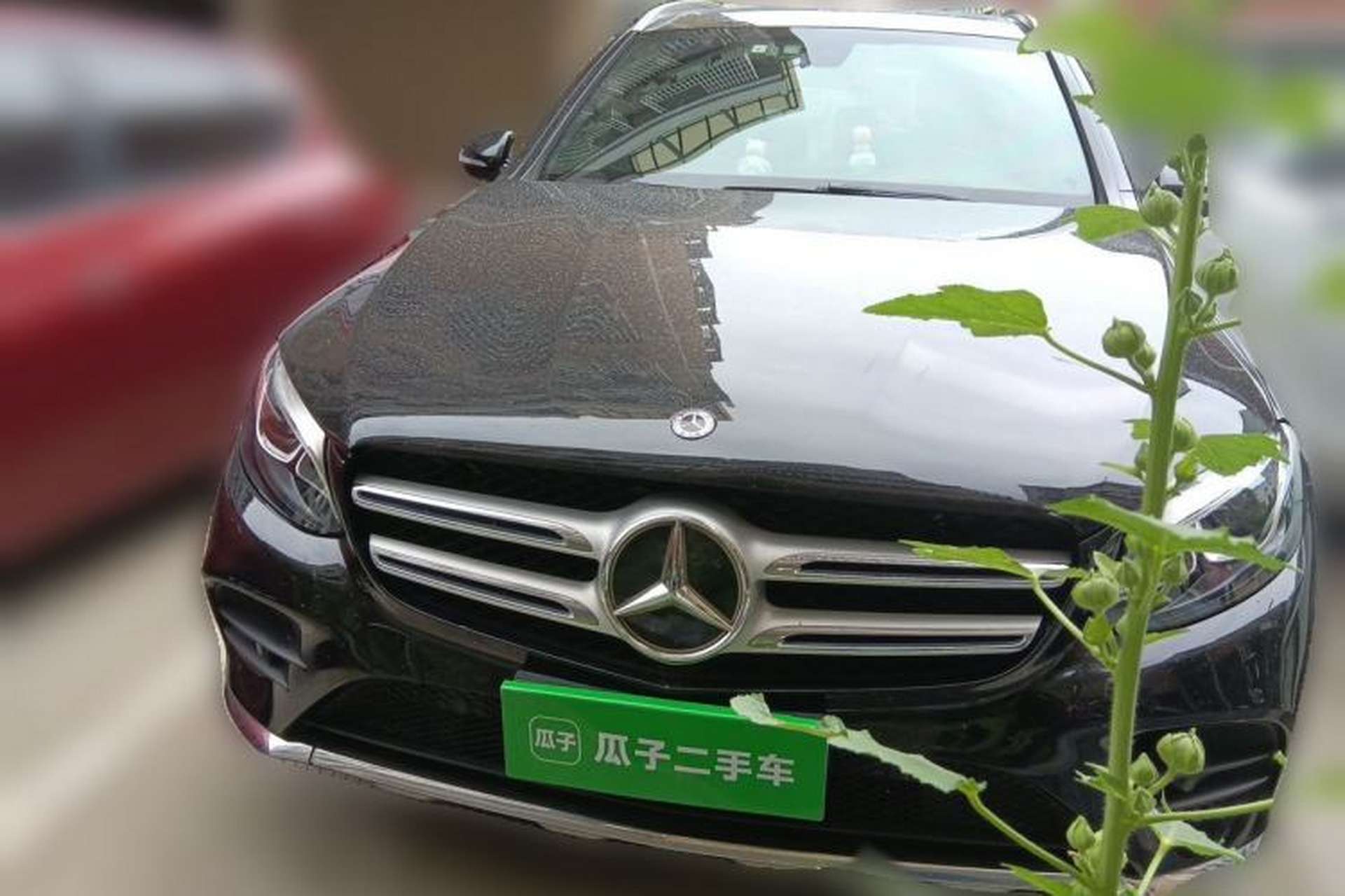 Used Mercedes-Benz GLC 2019 GLC 260 4MATIC Dynamic Edition Front