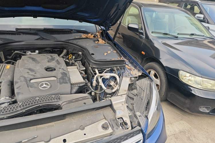 Used Mercedes-Benz GLC 2019 GLC 260 4MATIC Dynamic Edition Engine Bay Left