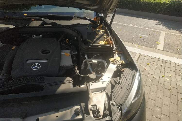 Used Mercedes-Benz GLC 2019 GLC 260 L 4MATIC Luxury Model Engine Bay Left