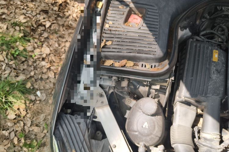 Used Mercedes-Benz GLC 2019 GLC 260 L 4MATIC Dynamic Model Engine Bay Right