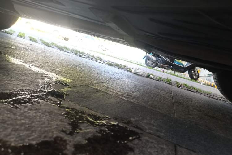Used Mercedes-Benz GLC 2019 GLC 260 L 4MATIC Dynamic Model Chassis Rear Left