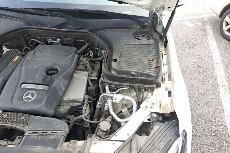 Used Mercedes-Benz GLC 2019 GLC 260 L 4MATIC Dynamic Model Engine Bay Left