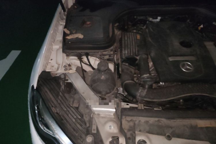 Used Mercedes-Benz GLC 2019 GLC 260 L 4MATIC Dynamic Model Engine Bay Right