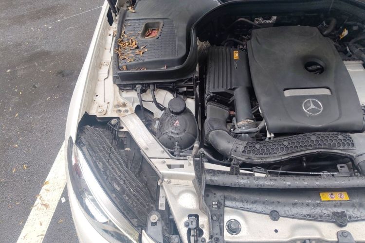 Used Mercedes-Benz GLC 2019 GLC 300 L 4MATIC Dynamic Model Engine Bay Right