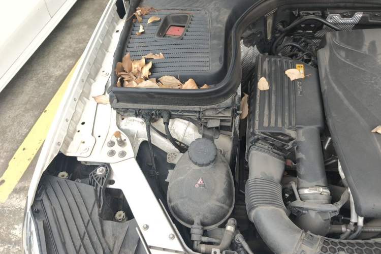 Used Mercedes-Benz GLC 2019 GLC 260 L 4MATIC Dynamic Model Engine Bay Right