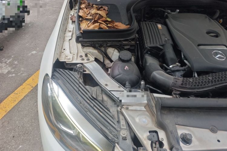 Used Mercedes-Benz GLC 2019 Facelift GLC 260 L 4MATIC Luxury Model Engine Bay Right