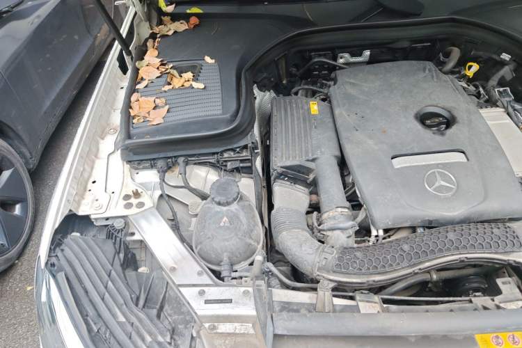 Used Mercedes-Benz GLC 2019 GLC 300 L 4MATIC Dynamic Model Engine Bay Right