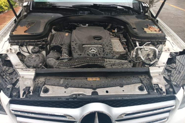 Used Mercedes-Benz GLC 2019 GLC 260 L 4MATIC Dynamic Model Engine Bay